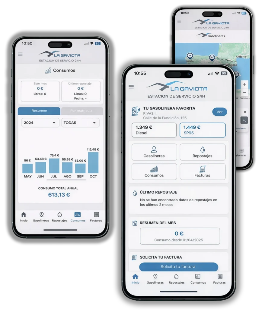 App La Gaviota